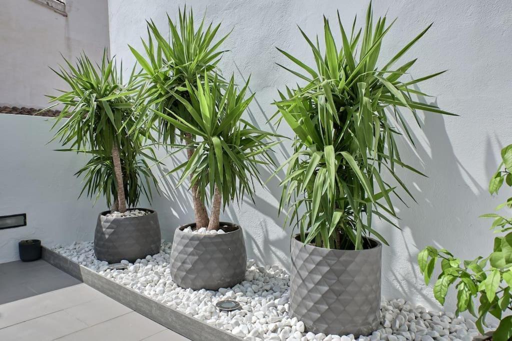 Sunny Cozy Penthouse With A Terrace At Plaza Del Carmen Valencia Exterior foto